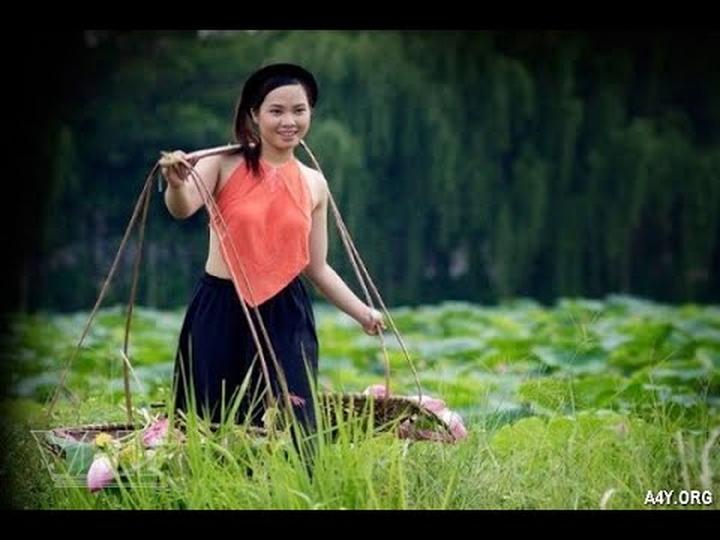 Xu hướng 