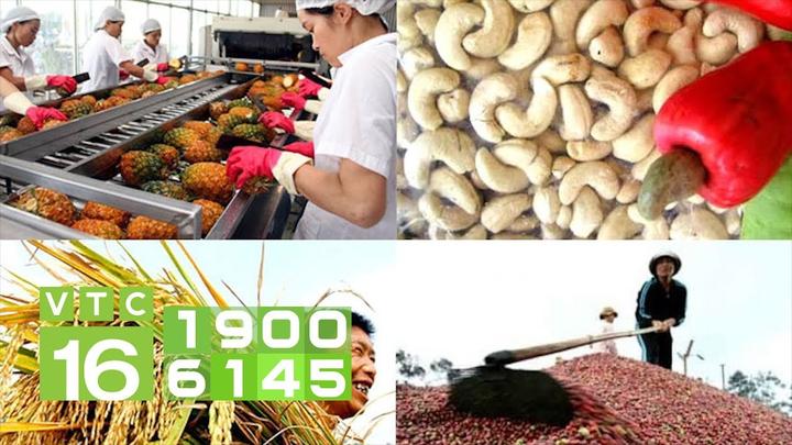Hotspot Matrix: Biến 5 gian hàng quốc tế trên sàn thành cơ hội marketing đột phá