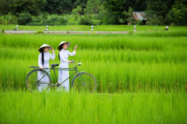 Hotspot Matrix và thay đổi của Li Wei trong thai kỳ