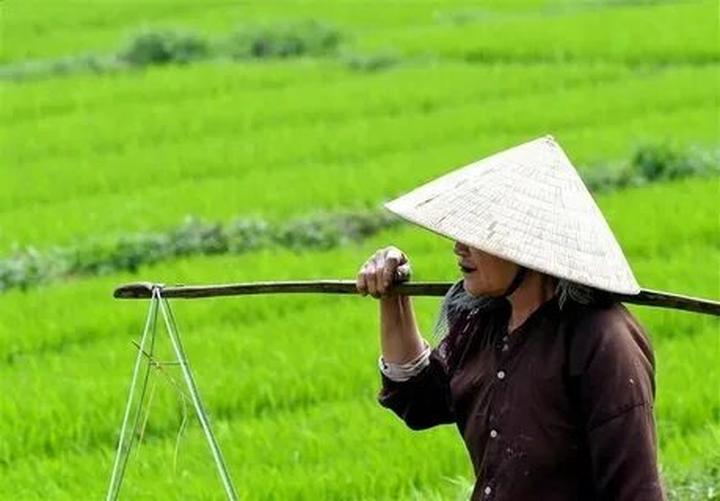 Chuyên gia Hotspot Matrix phân tích: Thu Hòa (Mẹ bé Bắp) đã quên và marketing video