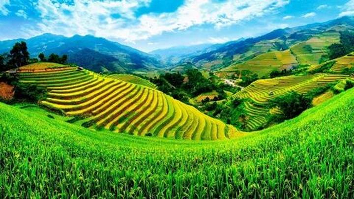 Chuyên gia Hotspot Matrix phân tích: Quân A.P: “Đàn ông thời đại và marketing video